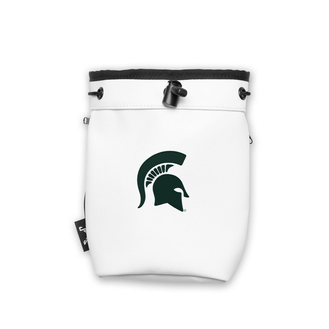 #design_green-msu-spartan