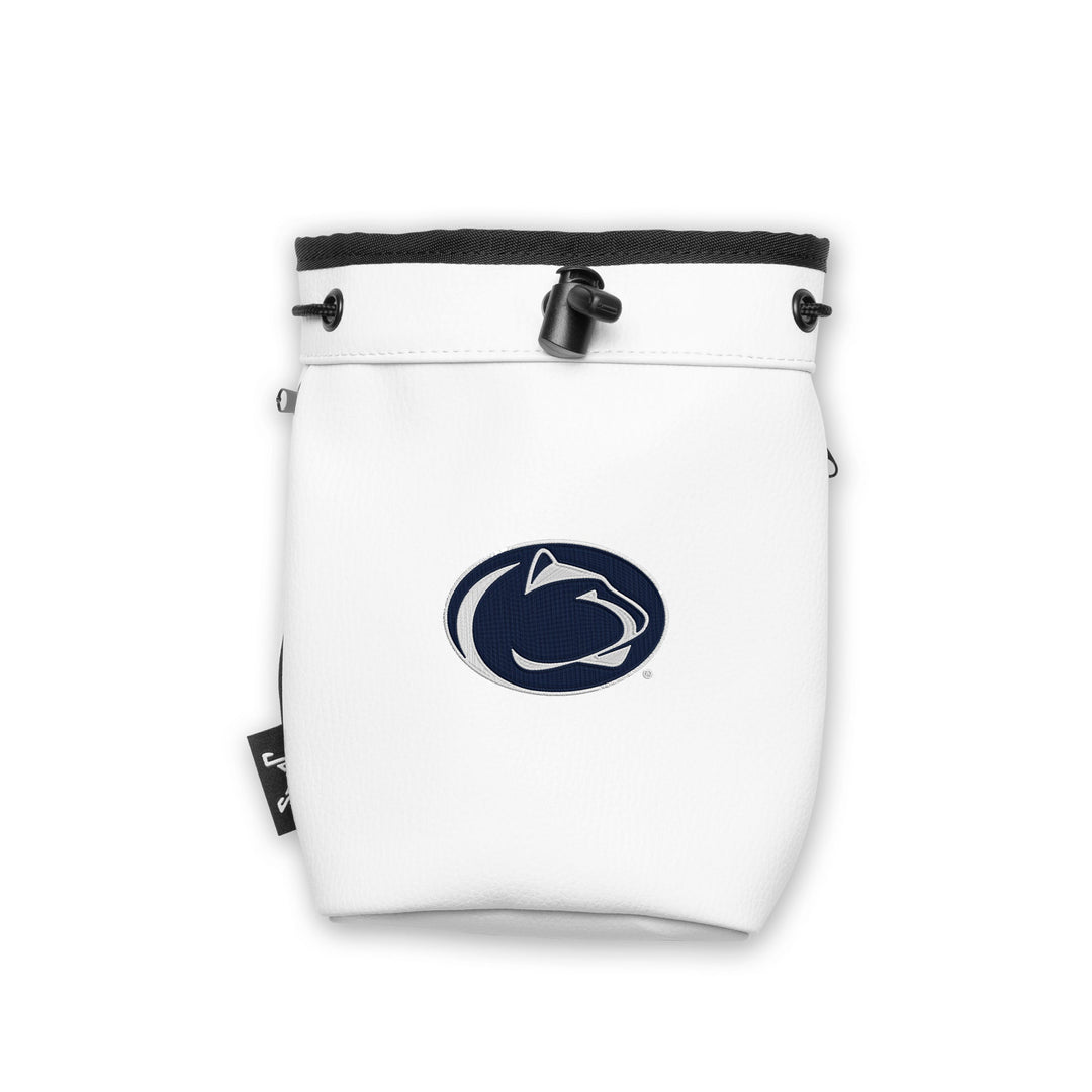 #design_navy-white-nittany-lion