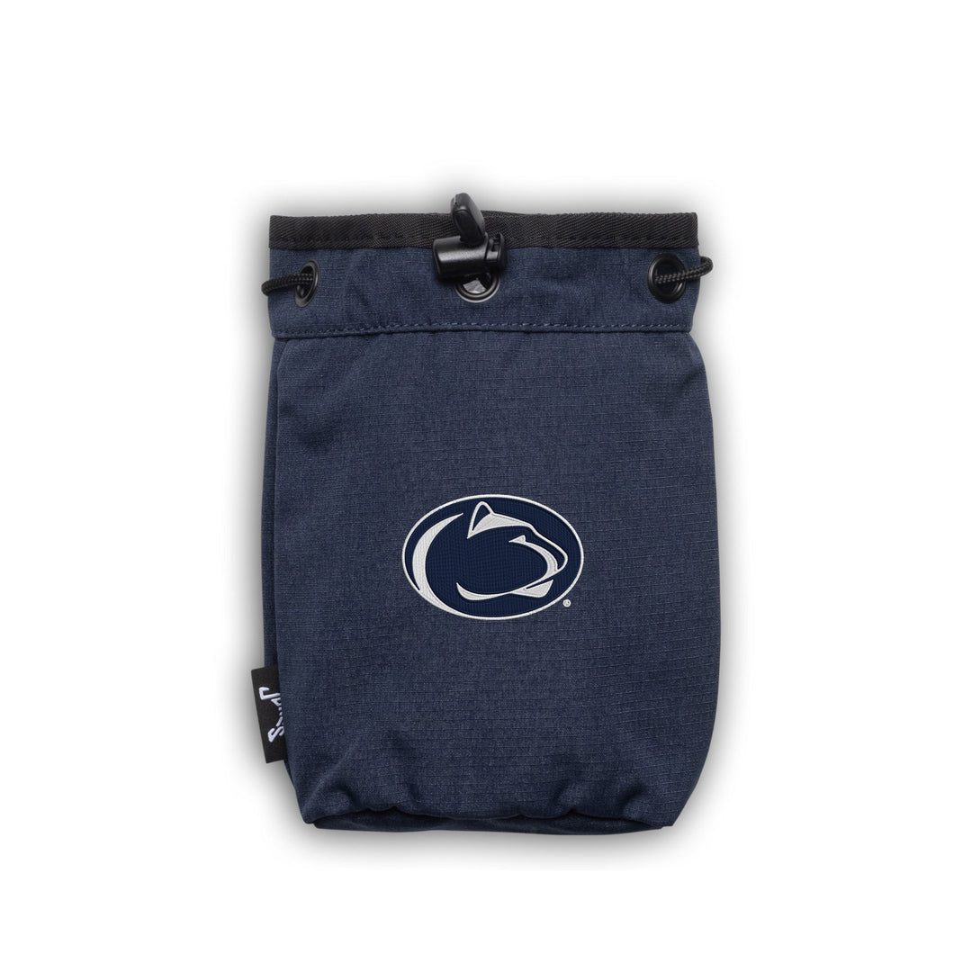 #design_navy-white-nittany-lion