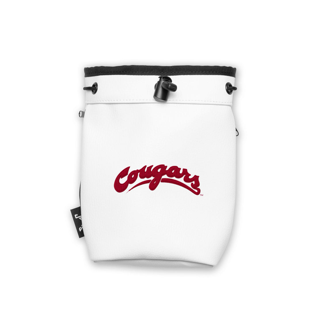 #design_cougar-word-mark